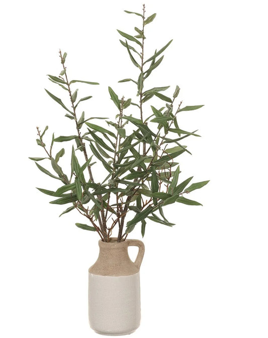 Olive Stems in Ceramic Vase